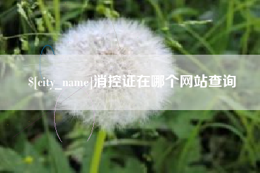 祁东消控证在哪个网站查询