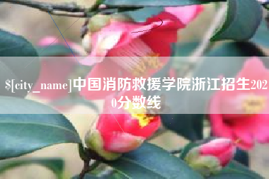 祁东中国消防救援学院浙江招生2020分数线