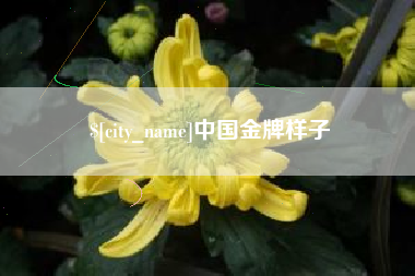 祁东中国金牌样子