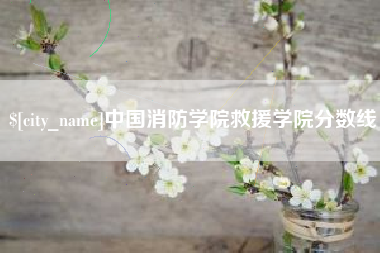 祁东中国消防学院救援学院分数线