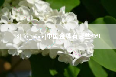 祁东中国金牌有哪些2021
