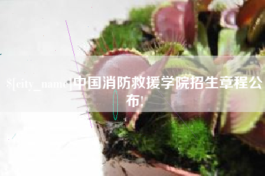 祁东中国消防救援学院招生章程公布!