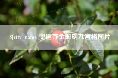 祁东奥运夺金时刻九宫格图片
