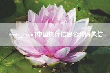 祁东中国执行信息公开网失信