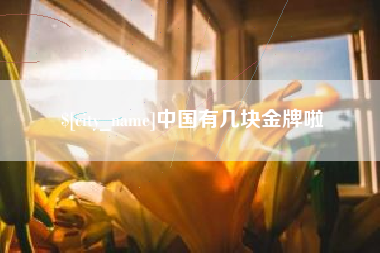 祁东中国有几块金牌啦
