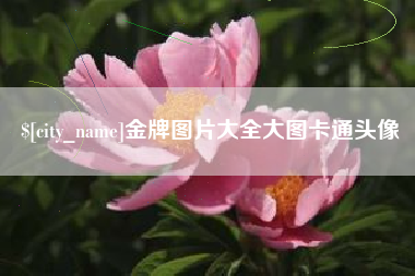 祁东金牌图片大全大图卡通头像