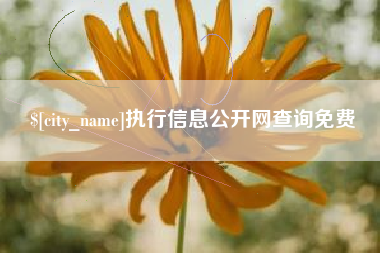 祁东执行信息公开网查询免费
