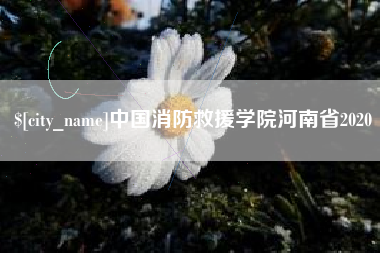 祁东中国消防救援学院河南省2020